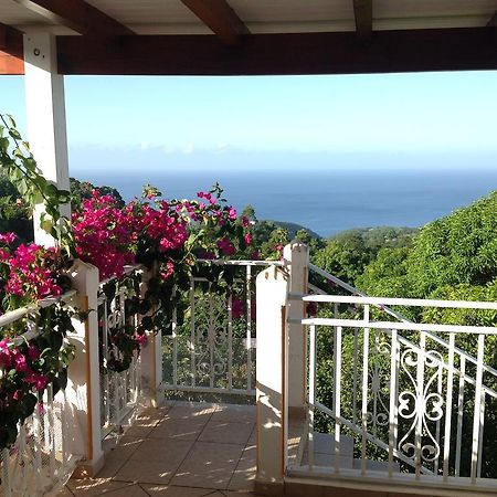 Villa Des Iles Basse-Terre Eksteriør billede