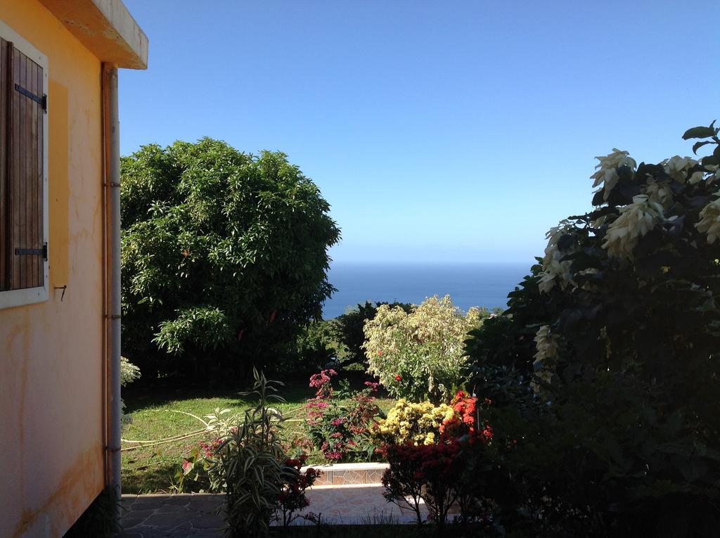 Villa Des Iles Basse-Terre Eksteriør billede