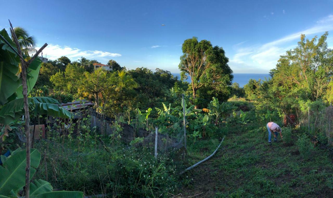 Villa Des Iles Basse-Terre Eksteriør billede